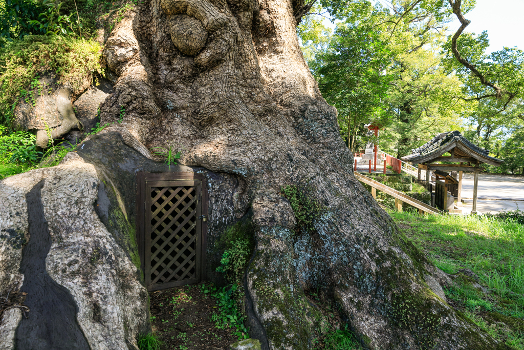 異世界の扉