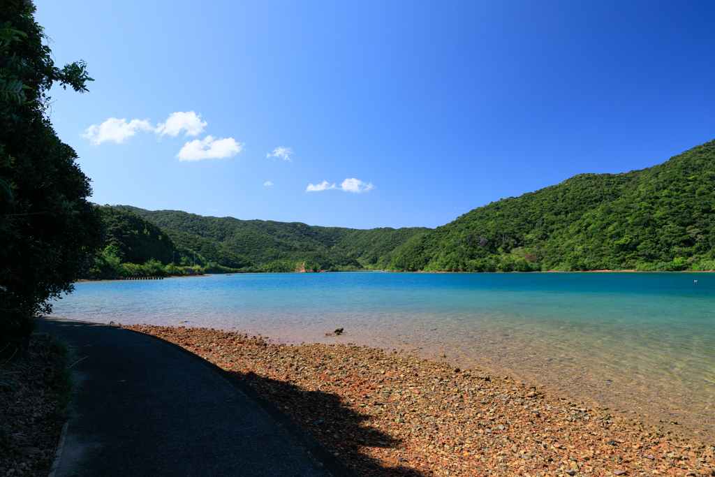 生と死の間に見た景色