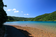 生と死の間に見た景色