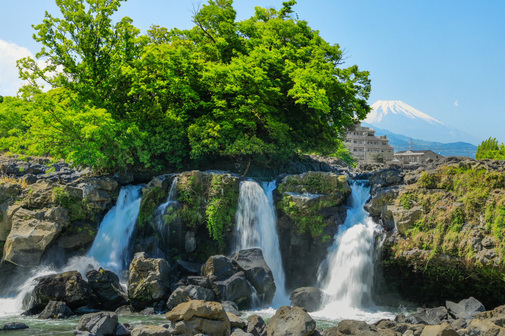 富士山の贈り物