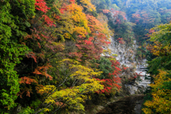 白岩の紅葉