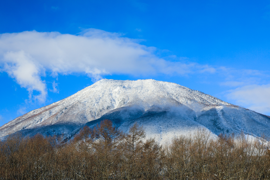 粉雪をふりかける