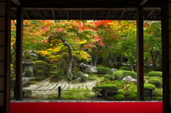 秋の情景