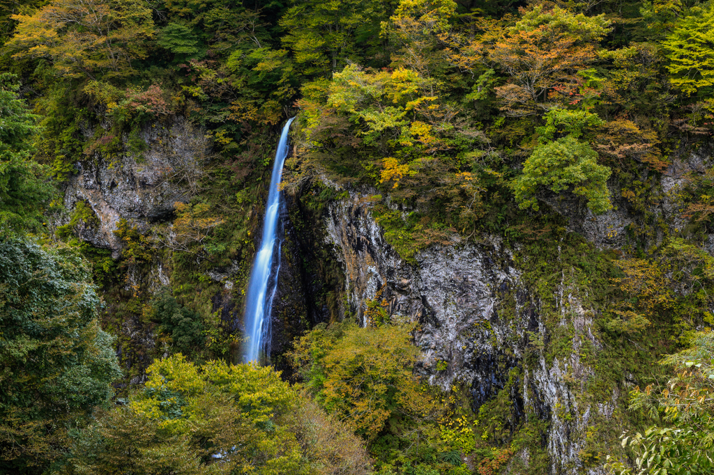 月山の雫