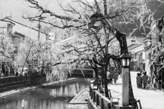 湯巡り