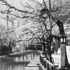 湯巡り