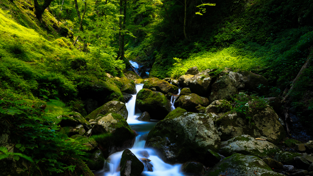 Green gradation