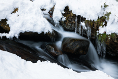 水と雪と氷