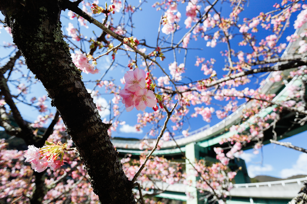 一足お先に！！