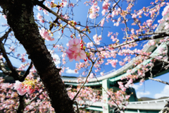 一足お先に！！