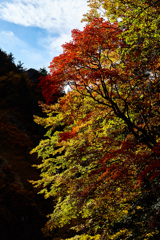 Gradation