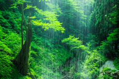 壇鏡の滝