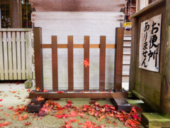 奇跡
