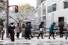慣れない雪道