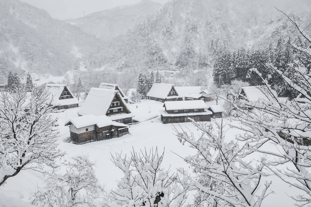 冬の菅沼合掌造り集落　五箇山