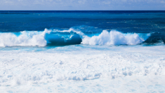 蒼浪
