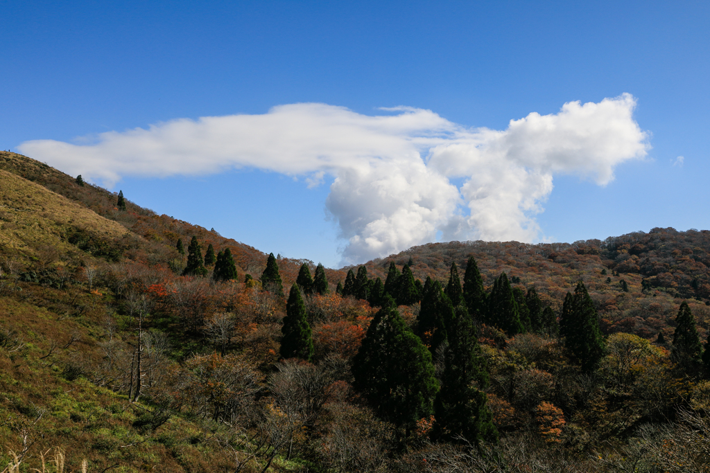 双雲