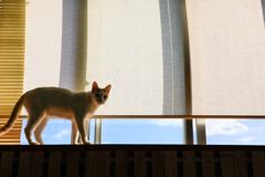 外は良い天気