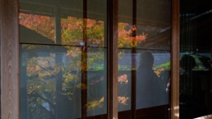 Reflection