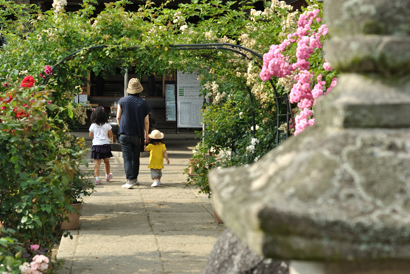 小さなお花