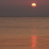 海ボーズ