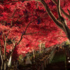 大山寺の紅葉