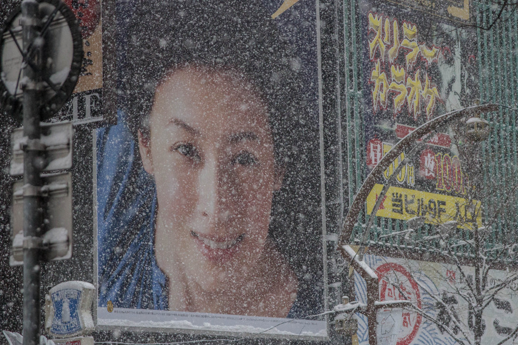 Snow Beauty