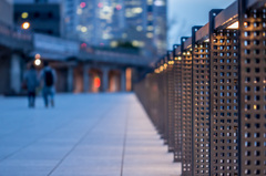 Twilight　promenade