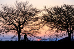 夕暮れの散歩道