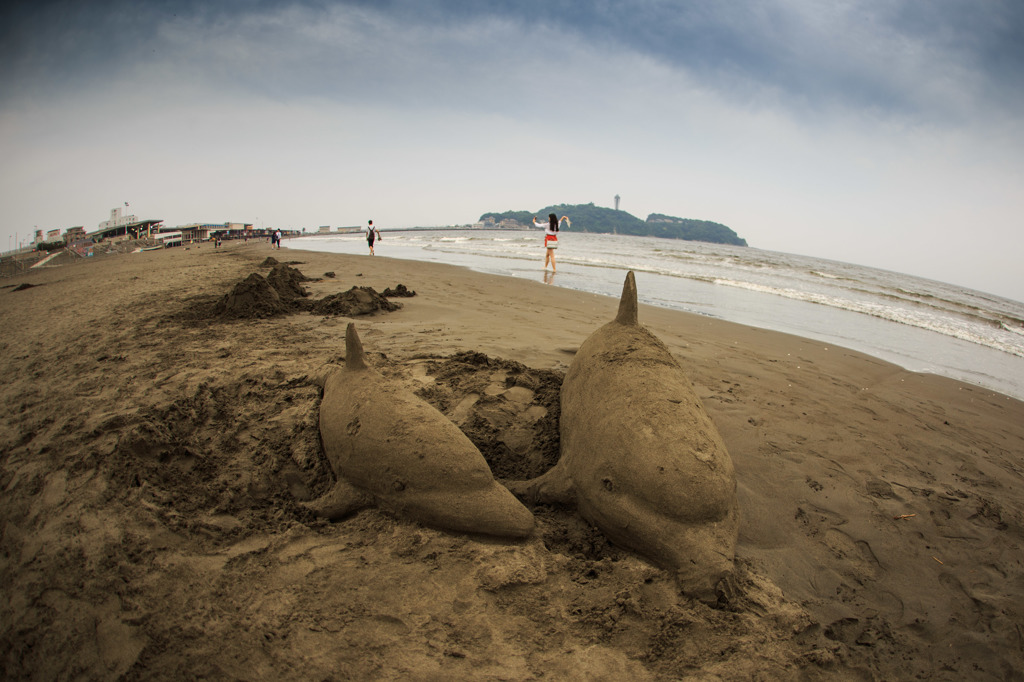Sand Dolphin