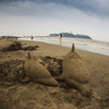 Sand Dolphin