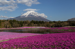 祝！世界遺産登録