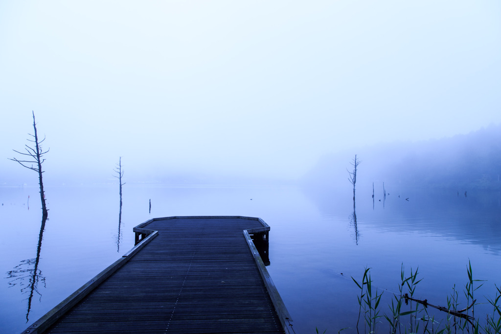 Foggy　pier