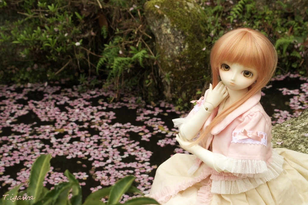 桜舞う庭園で一休み