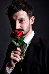 a red rose