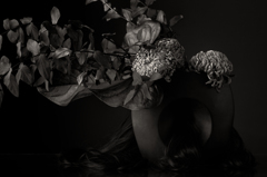 DPP07DF0B0E083526-3