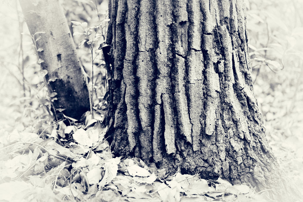 DPP07DC0211001E06