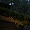 高野山（１８）