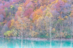 白水湖の秋