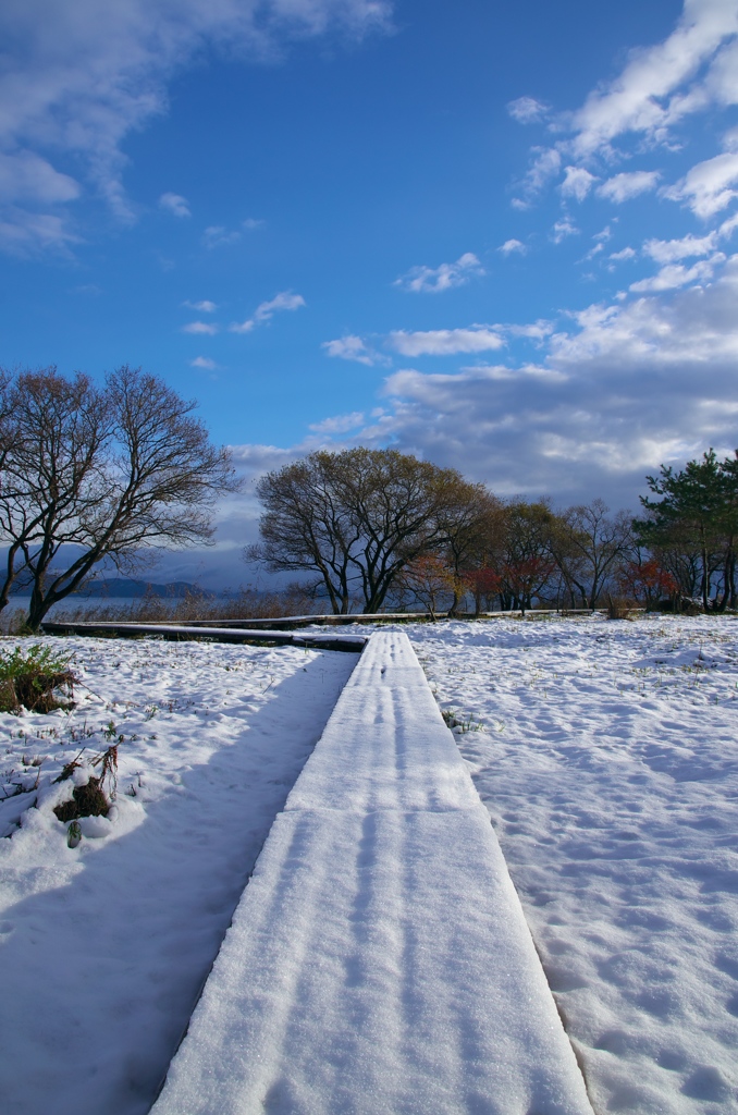 雪の木道