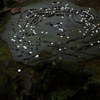 高野山3