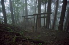 玉置神社（２）