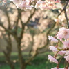 出石おさんぽ　おまけ