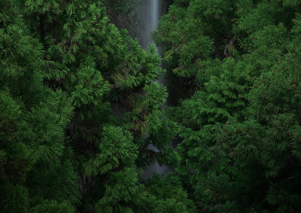 次の滝