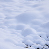 絹雪