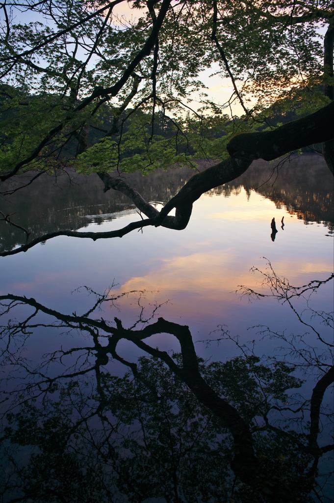 明神池の朝（２）