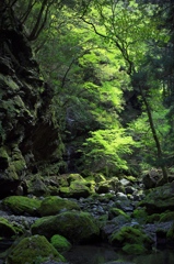 緑の滝