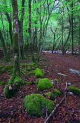 口笛の登山道