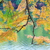 秋の明神池（１）