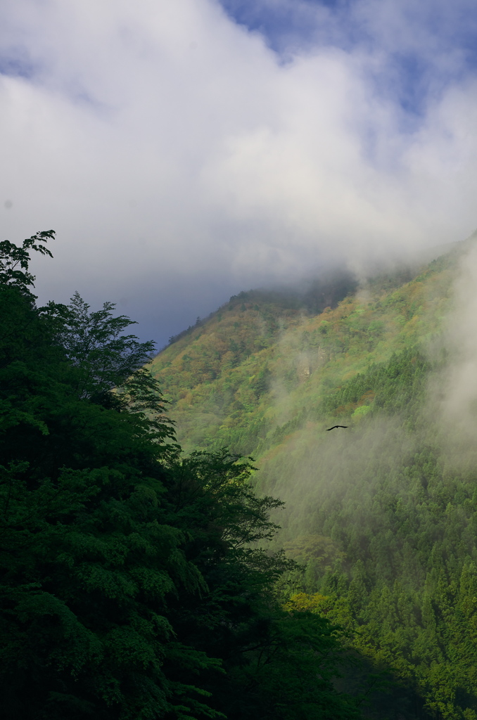 川迫川春景色（２）